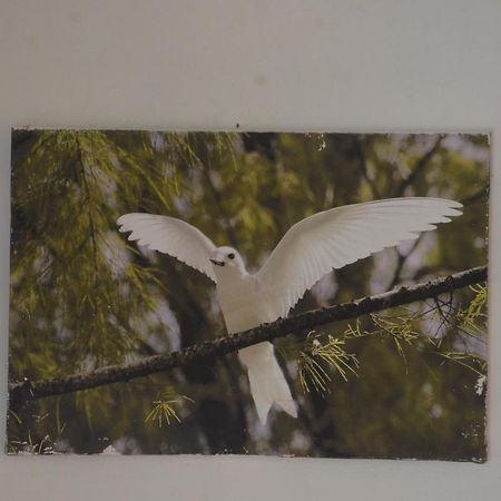 Butterfly Villas Grand Anse  Bagian luar foto